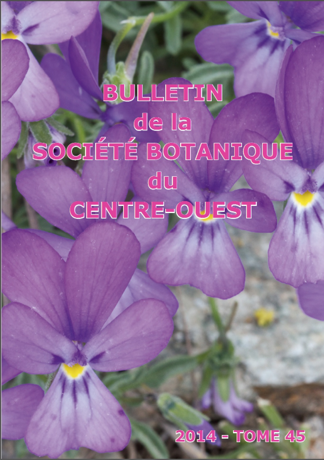 Bulletin n°45
