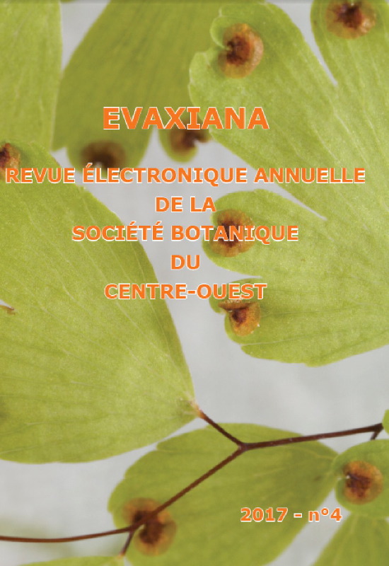 Evaxiana n°4