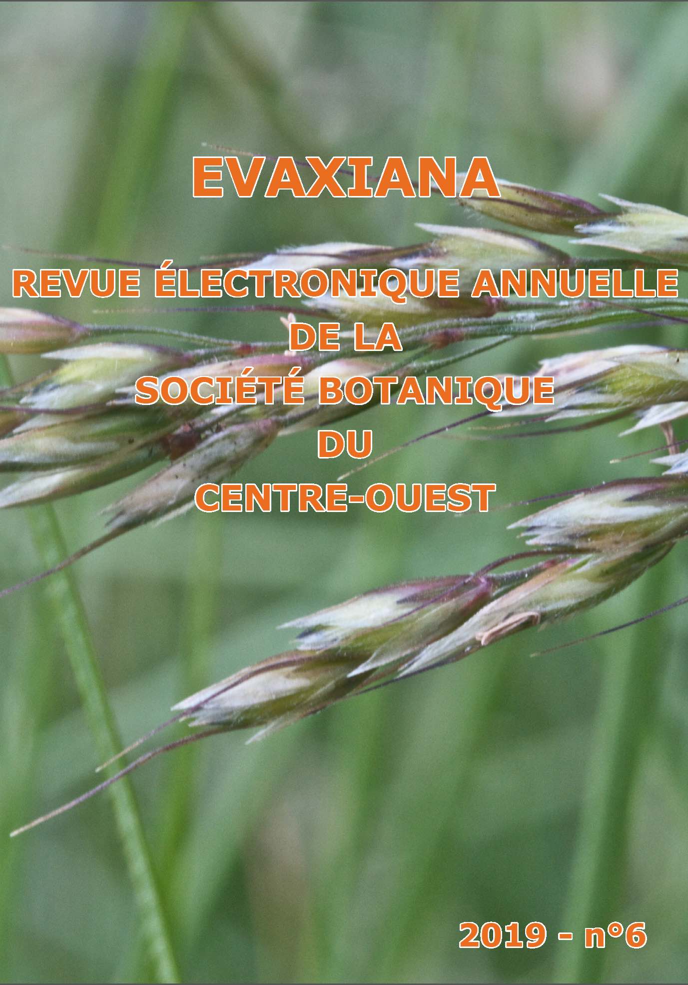 Evaxiana n°6