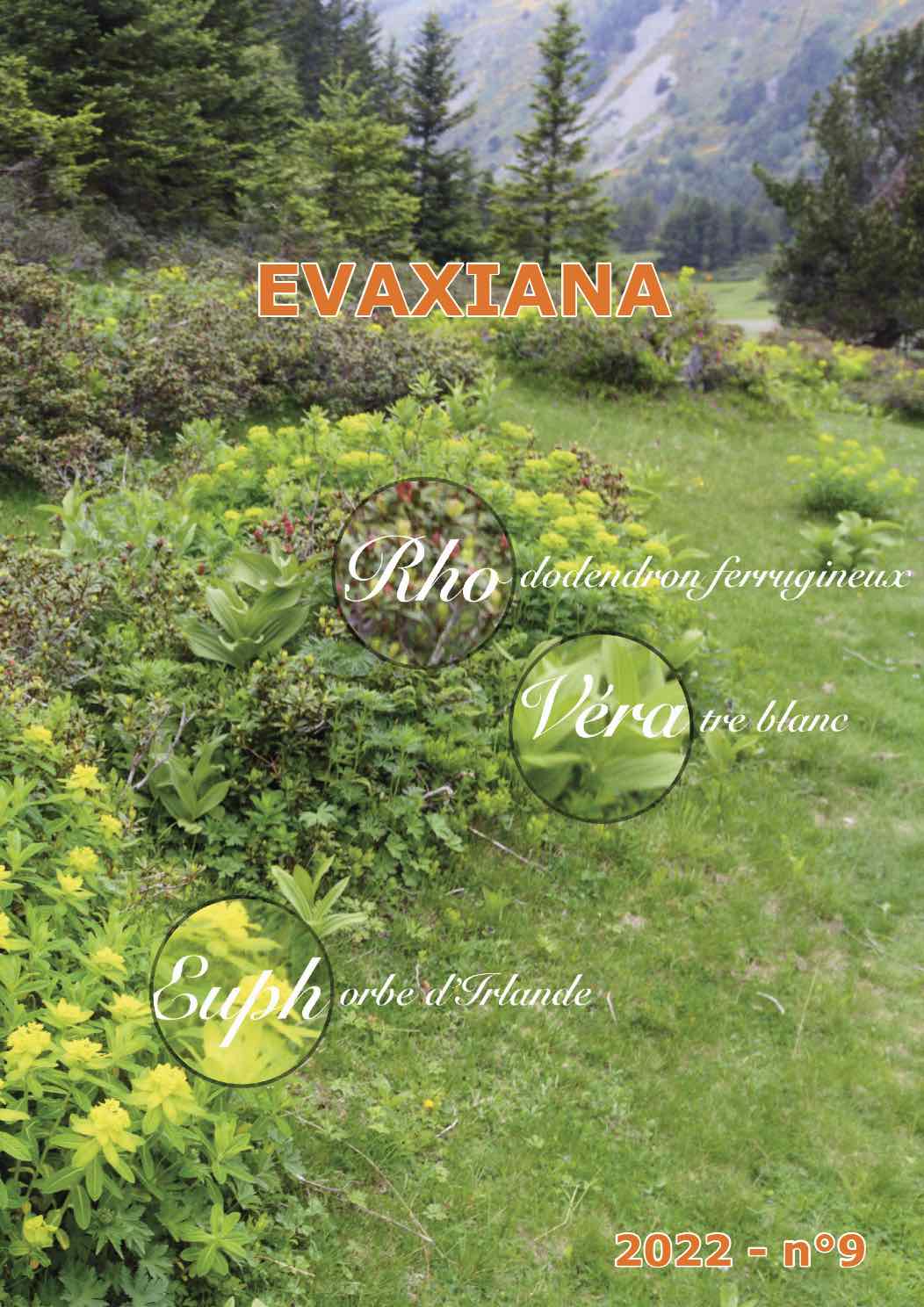 Evaxiana n°9