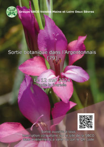 Sortie botanique dans l'Argentonnais (79) @ Argentonnay (79)
